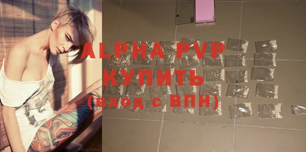 винт Пересвет