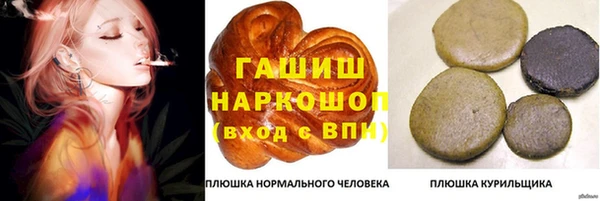 винт Пересвет