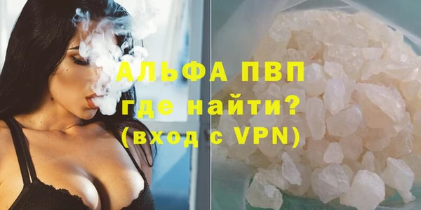 винт Пересвет
