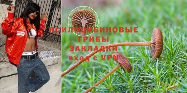 винт Пересвет