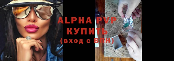 винт Пересвет