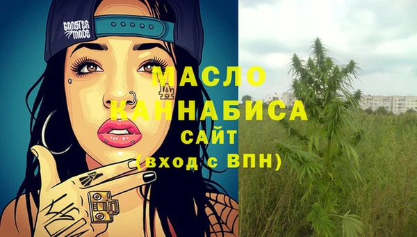 винт Пересвет