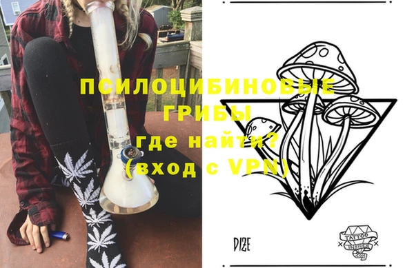 винт Пересвет