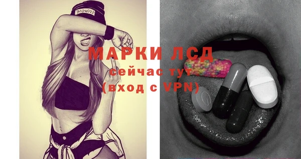винт Пересвет