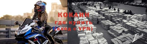 винт Пересвет