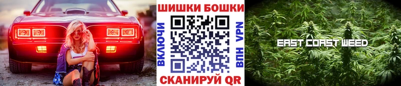 Бошки марихуана MAZAR  продажа наркотиков  Судогда 